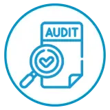 icon audit